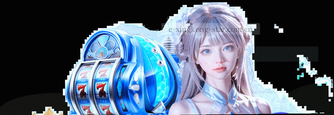 五百万数据资料库 深蓝背景书架陈列
